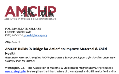 AMCHP Builds ‘A Bridge for Action’ to Improve Maternal & Child Health