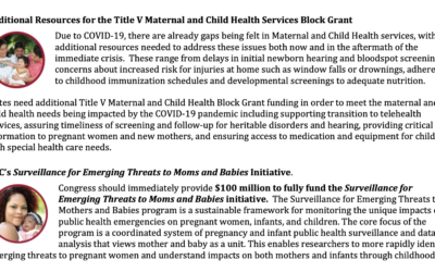 AMCHP Urges Congress to Support These Priorities for Maternal and Child Health in the Next COVID-19 Relief Package