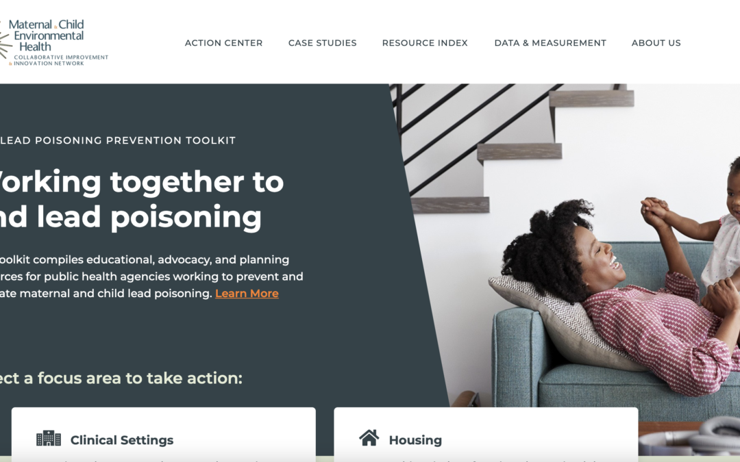 AMCHP Releases New Interactive Toolkit for Lead Poisoning Prevention