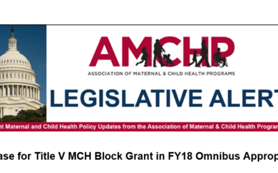 Increase for Title V MCH Block Grant in FY18 Omnibus Appropriations!