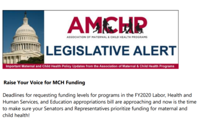 Raise Your Voice for MCH Funding