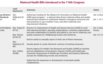 AMCHP, National Partnership Release Guide to Maternal Health Legislation