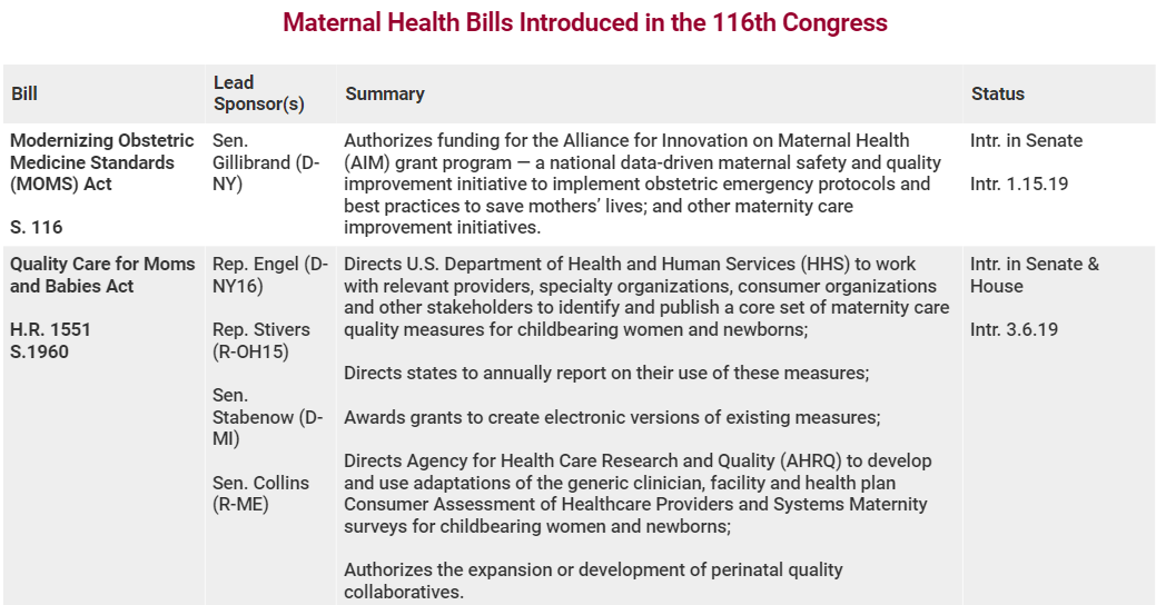 AMCHP, National Partnership Release Guide to Maternal Health Legislation