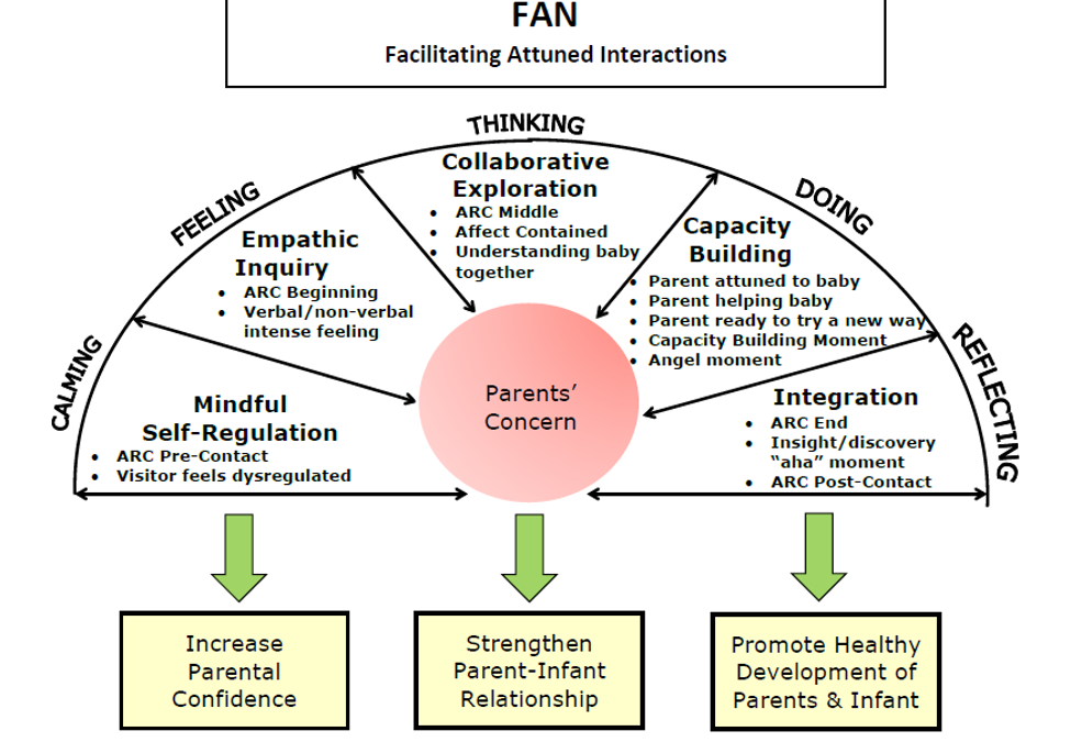 Facilitating Attuned Interactions (FAN)