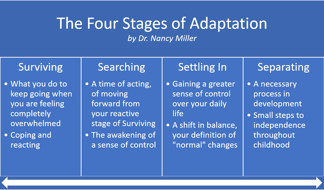 Spectrum illustrating the four stages of adaption: surviving, searching, settling in, and separating