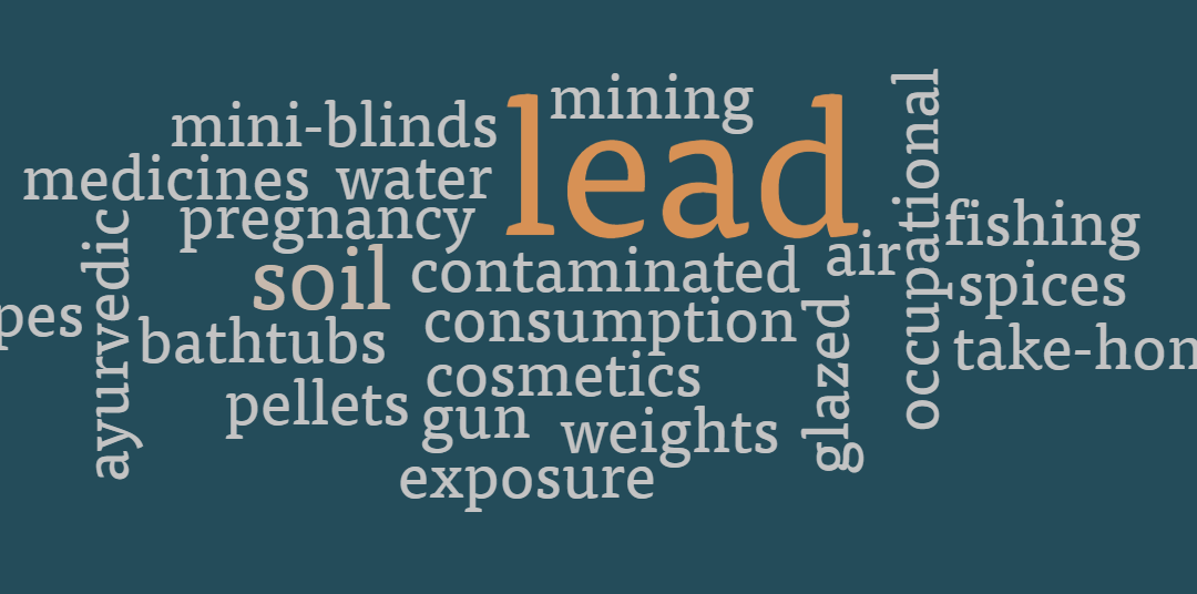 Emerging Sources of Lead Exposure for MCH Populations