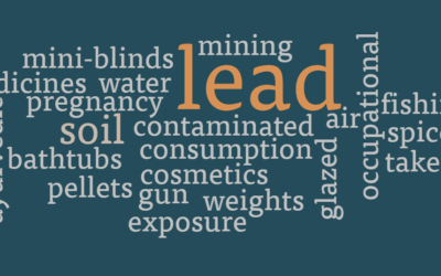 Emerging Sources of Lead Exposure for MCH Populations