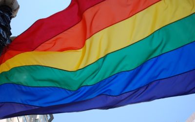 PA Partnerships Boost Access to and Quality of Services for LGBTQ Youth