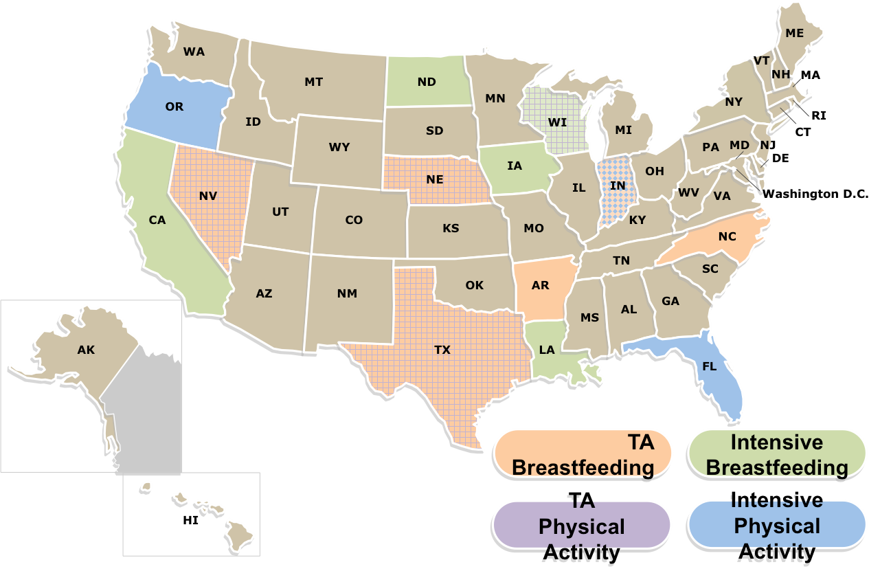 This graphic depicts states selected to participate in the CHW CoIIN's year one workstreams, which focus on breastfeeding and physical activity. Each workstream includes two groups: one which receives monthly technical assistance and the other which receives a more intensive level of support from experts on the CHW CoIIN's steering committee.