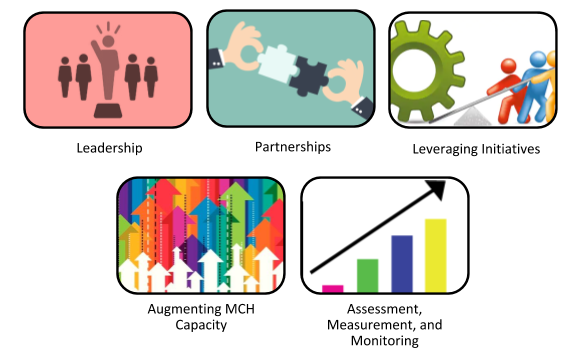 Icons illustrating the five pillars: leadership, partnerships, leveraging initiatives, augmenting MCH capacity, and assessment, measurement, and monitoring