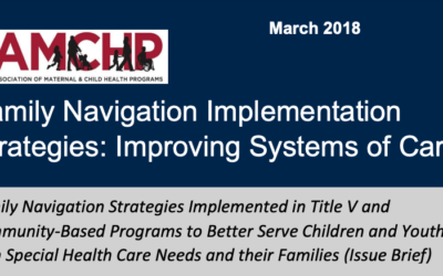 Family Navigation implementation strategies in Title V and community-based programs