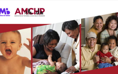 Beyond Zika: Preparing MCHÂ Programs for Future Threats to the Health of Families and Communities