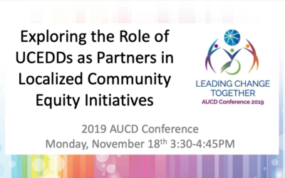 Exploring the Role of UCEDDs as Partners in Localized Community Equity Initiatives