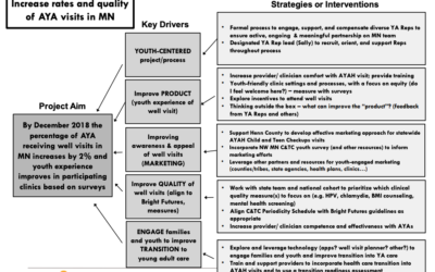 Key Driver Diagram (Minnesota Example)