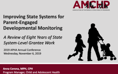 State Systems for Parent-Engaged Developmental Monitoring: A Review of Eight Years of State System-Level Grantee Work 