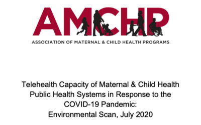 Telehealth Capacity in MCH Public Health Systems Environmental Scan