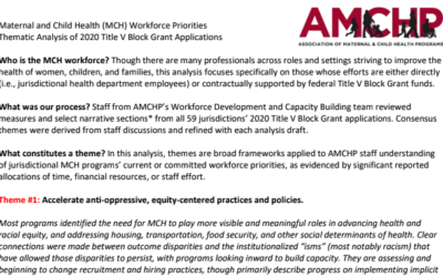 MCH Workforce Priorities: Thematic Analysis of 2020 Title V Block Grant Applications