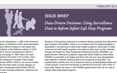 Data-Driven Decisions: Using Surveillance Data to Inform Infant Safe Sleep Programs