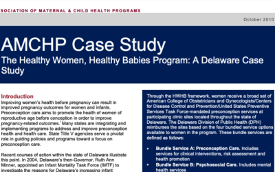 The Healthy Women, Healthy Babies Program: A Delaware Case Study