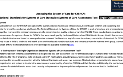 National Standards for Systems of Care Statewide Systems of Care Assessment Tool: Single-Organization