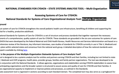 National Standards for Systems of Care Organizational Analysis Tool: Multiple-Organization