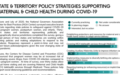 State and Territory Policy Strategies Supporting MCH During COVID-19 (National Governors Association)