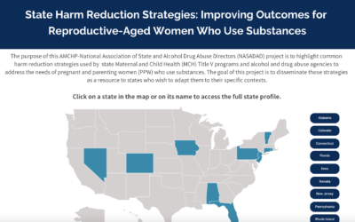 State Harm Reduction Strategies: Improving Outcomes for Reproductive-Aged Women Who Use Substances