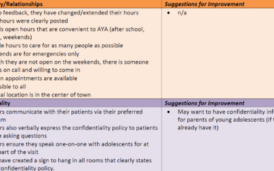 Sample Clinic Assessment Summary