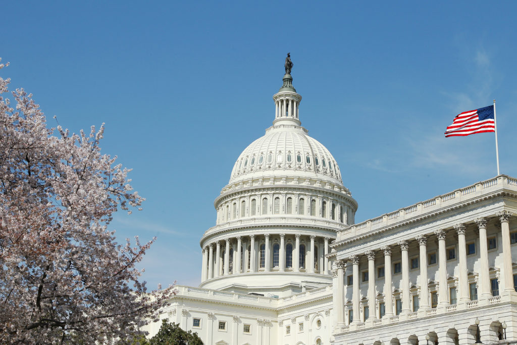 The United States Capitol Rotunda. Senate and Representatives government home in Washington D.C.