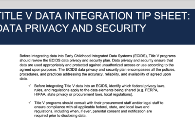 Title V Data Integration Tip Sheet: Data Privacy and Security