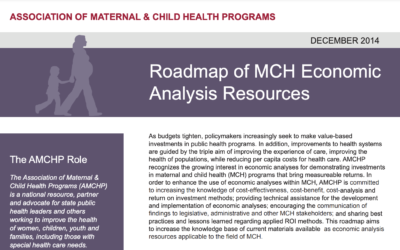 Roadmap of MCH Economic Analysis Resources