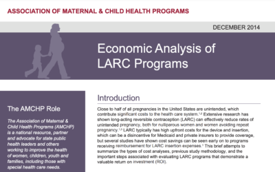 Economic Analysis of LARC Programs