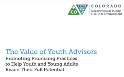 The Value of Youth Advisors