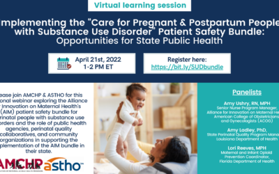 Implementing the “Care for Pregnant and Postpartum People with Substance Use Disorder” Patient Safety Bundle: Opportunities for State Public Health