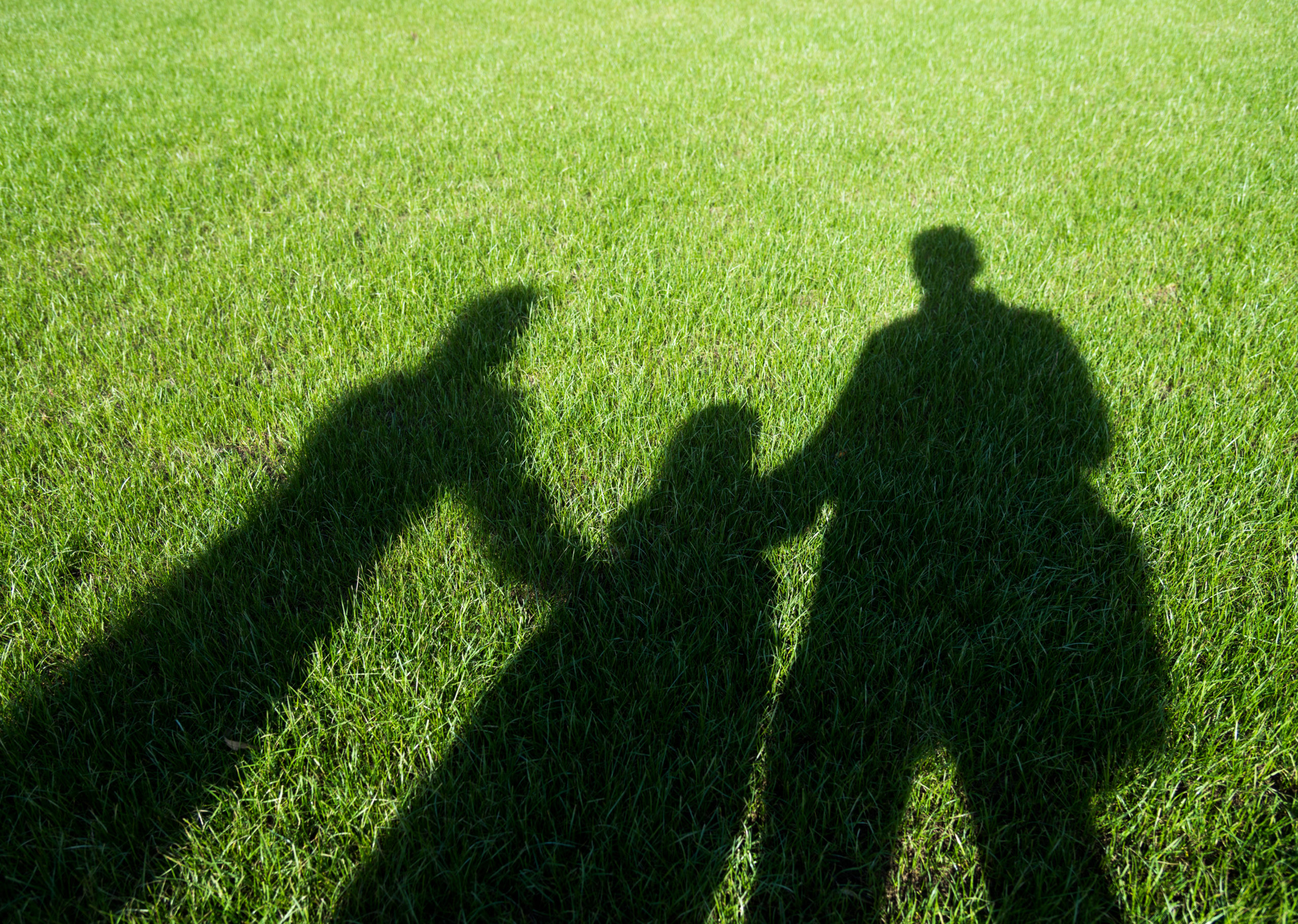 Shadows on the lawn of a family holding hands.