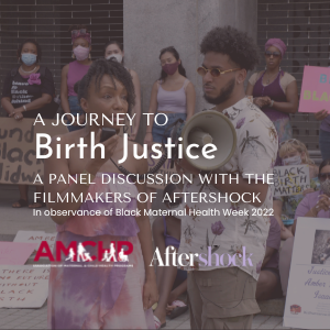 A Journey to Birth Justice: A Panel Discussion with the Filmmakers of Aftershock