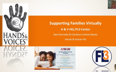 May 31 Virtual Round Table: Working with Families Virtually