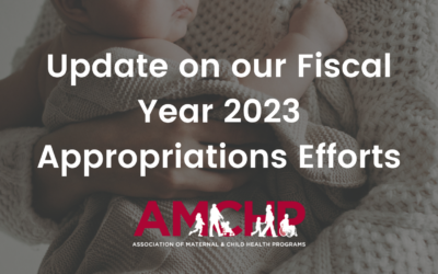 AMCHP Leads National Coalitions in FY23 Maternal Health Appropriations Letters