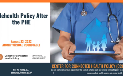 August 23 Round Table: Telehealth Policy After the Public Health Emergency
