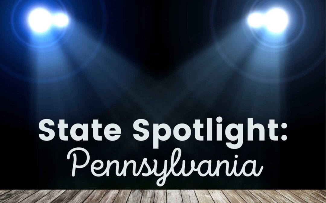 Spotlight: The Pennsylvania MCH Approach to Supporting AYA Mental Health