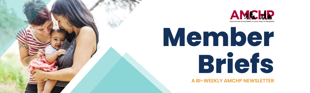 Member Brief banner graphic with image of two women holding a baby. 