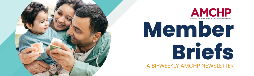 Header graphic with text "Member Briefs, a bi-weekly AMCHP newsletter", AMCHP logo, and image of a mother and father holding and smiling at their baby.