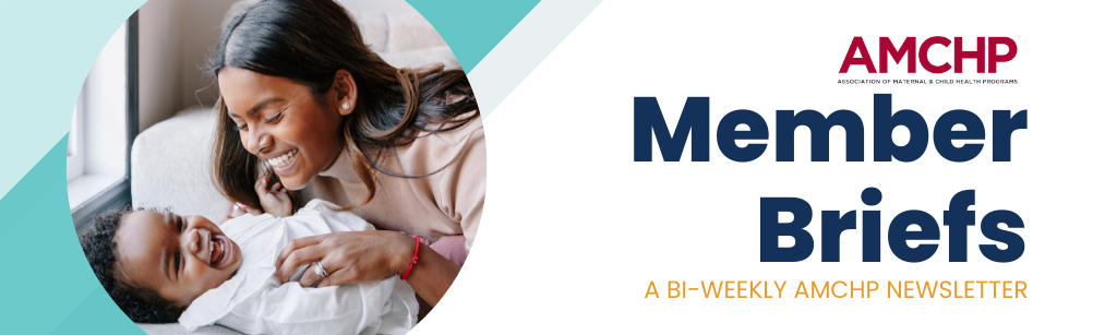 Banner with text: Member Briefs: A bi-weekly AMCHP newsletter. Image of a young woman and her baby laughing. 