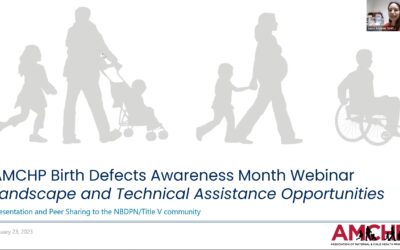 AMCHP Birth Defects Awareness Month 2023 Webinar