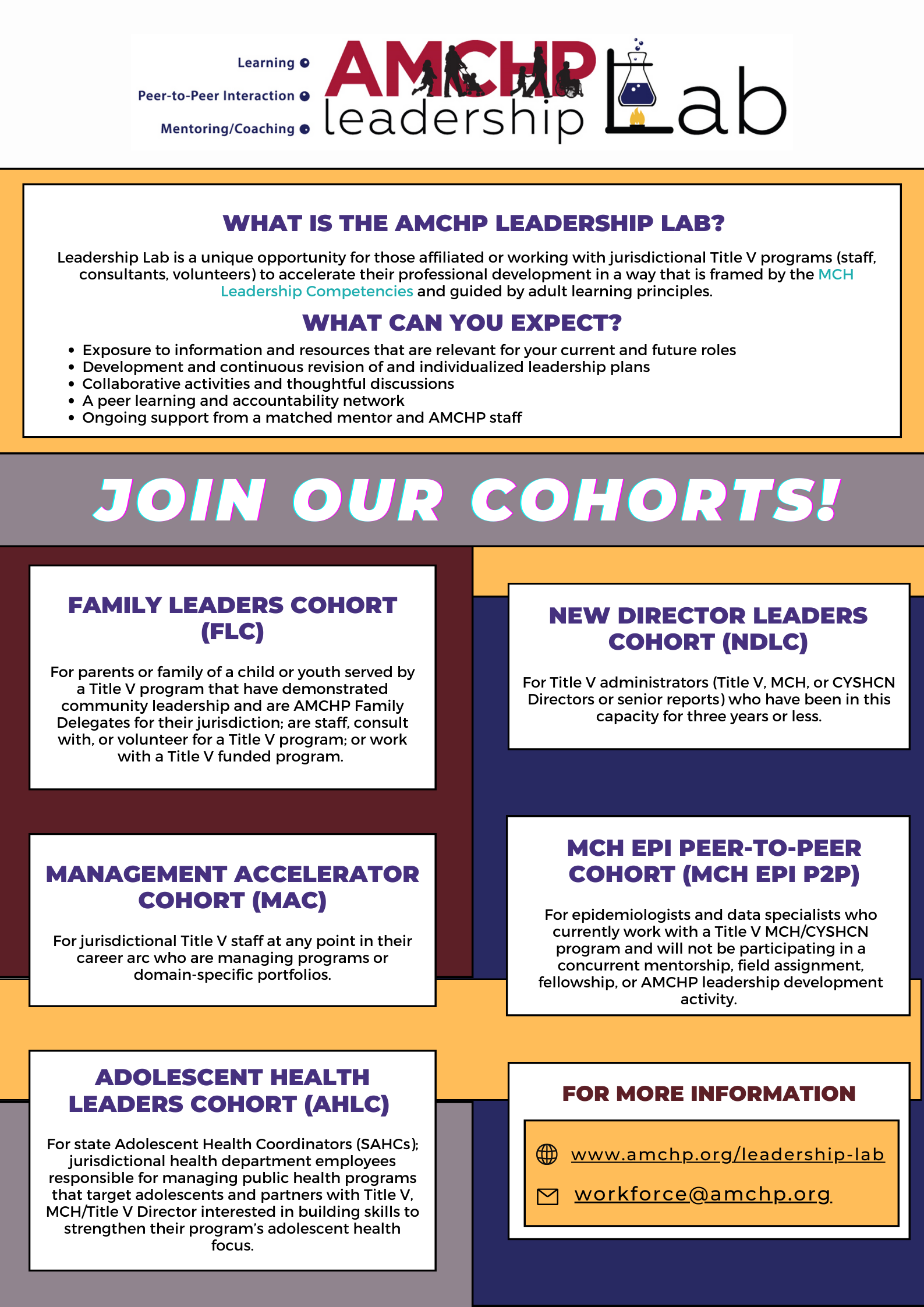 Leadership Lab flyer describing the five cohorts. More at amchp.org/leadership-lab