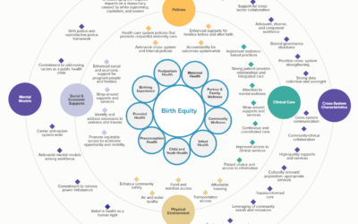 Birth Equity Ecosystem Map