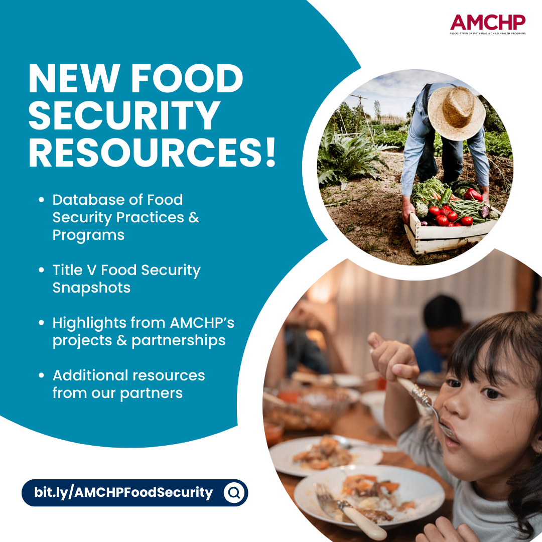 Graphic alerting: AMCHP New Food Security Resources! Database of Food Security Practices & Programs. Title V Food Security Snapshots. Highlights from AMCHP's projects & partnerships. Additional resources from our partners. bit.ly/AMCHPFoodSecurity