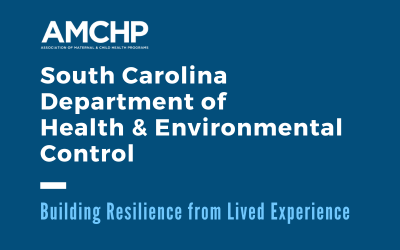 Building Resilience from Lived Experience – South Carolina Department of  Health & Environmental Control