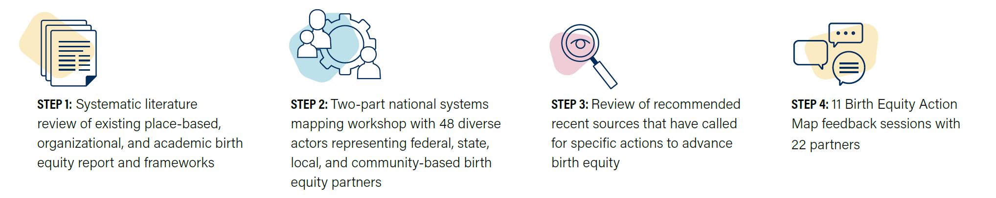 Process Overview:</p>
<p>Step 1: Systematic literature review of existing place-based, organizational, and academic birth equity report and frameworks.