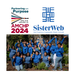 AMCHP 2024 Local Organization Spotlight: SisterWeb